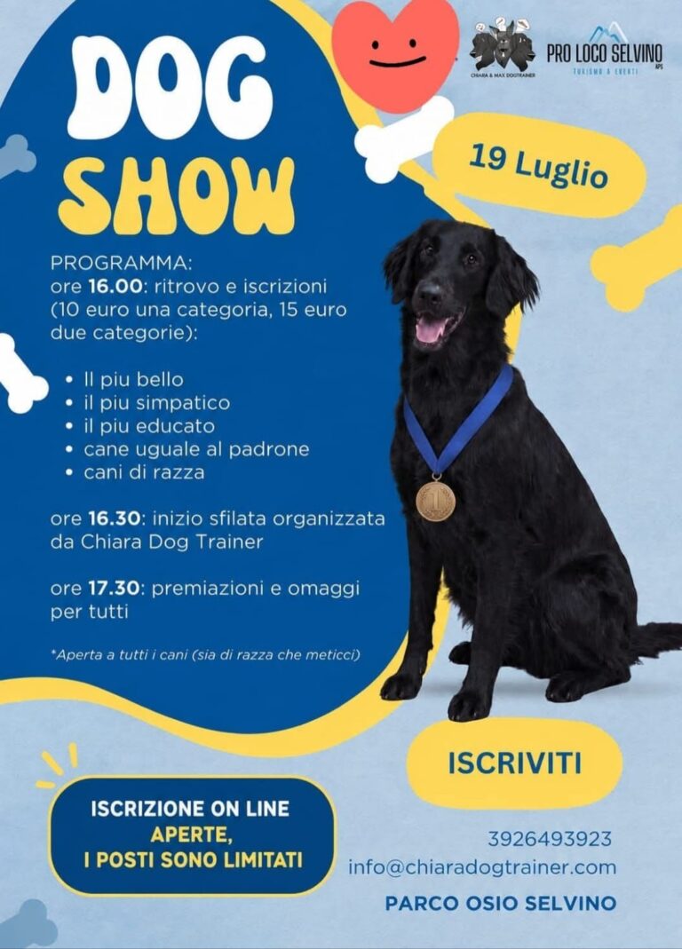 DOG SHOW